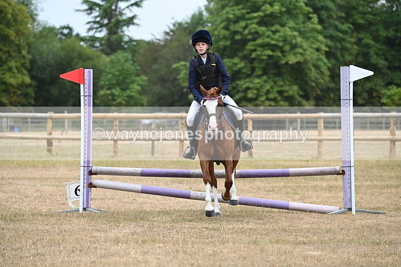 WJ6_0141 - Class 13 Novice Jumping 60cm