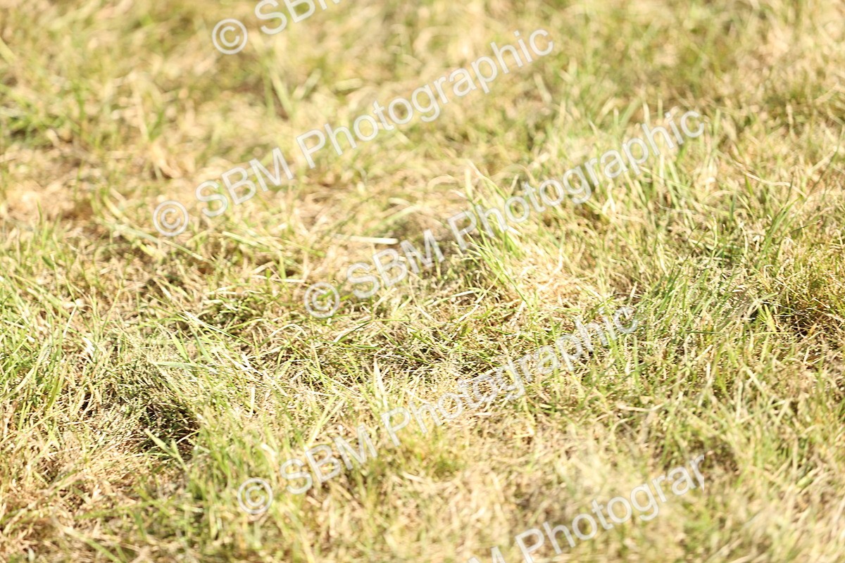 SBM_18780 - Class 84-86 - RIHS BSHA Cobs