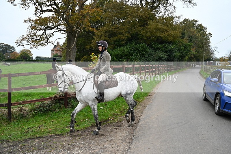 WJ7_7186 - The Meet