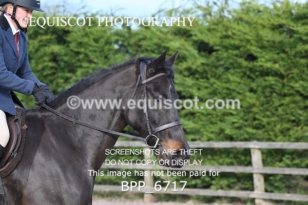 BPP_6717 - RING 1  (RIDDEN HORSES / IN HAND / VETERAN ETC)