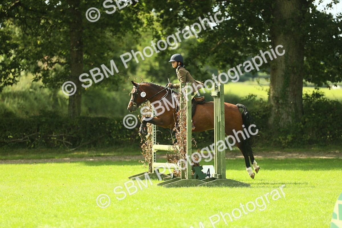 SBM_44591 - S31 - Working Hunter Pony
