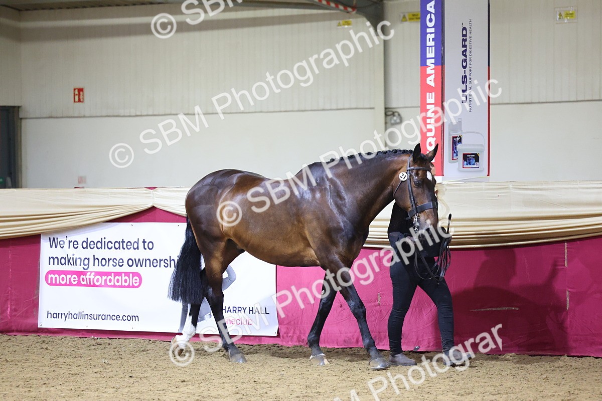 SBM_18782 - Class E IH Horse Champ