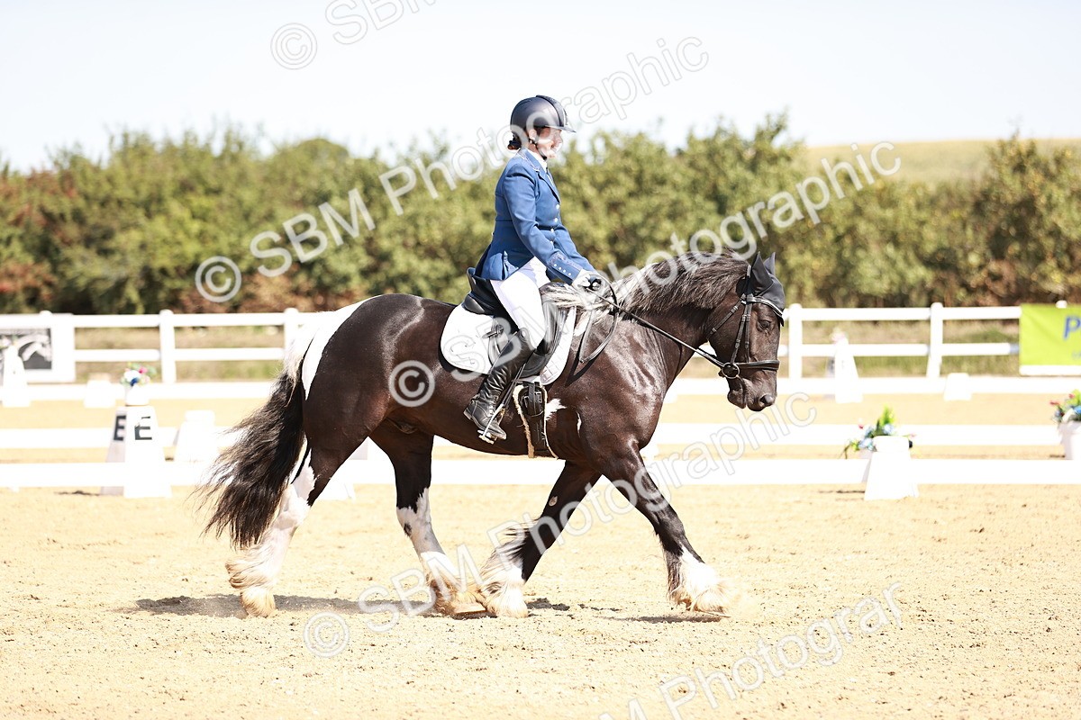 SBM_004581 - Class 12 - Novice 5 - 10.31-11.41