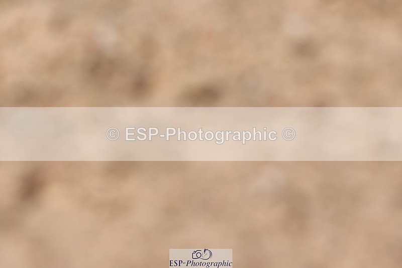 240706A-135312-02915 - Cls 8A Snr RT Prelim 12 Start to 14.30 break