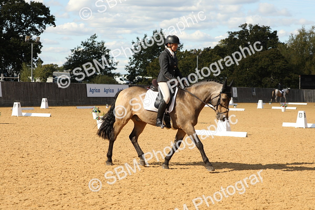 SBM_26579 - D17 - Grand Tour Championship - Novice 27