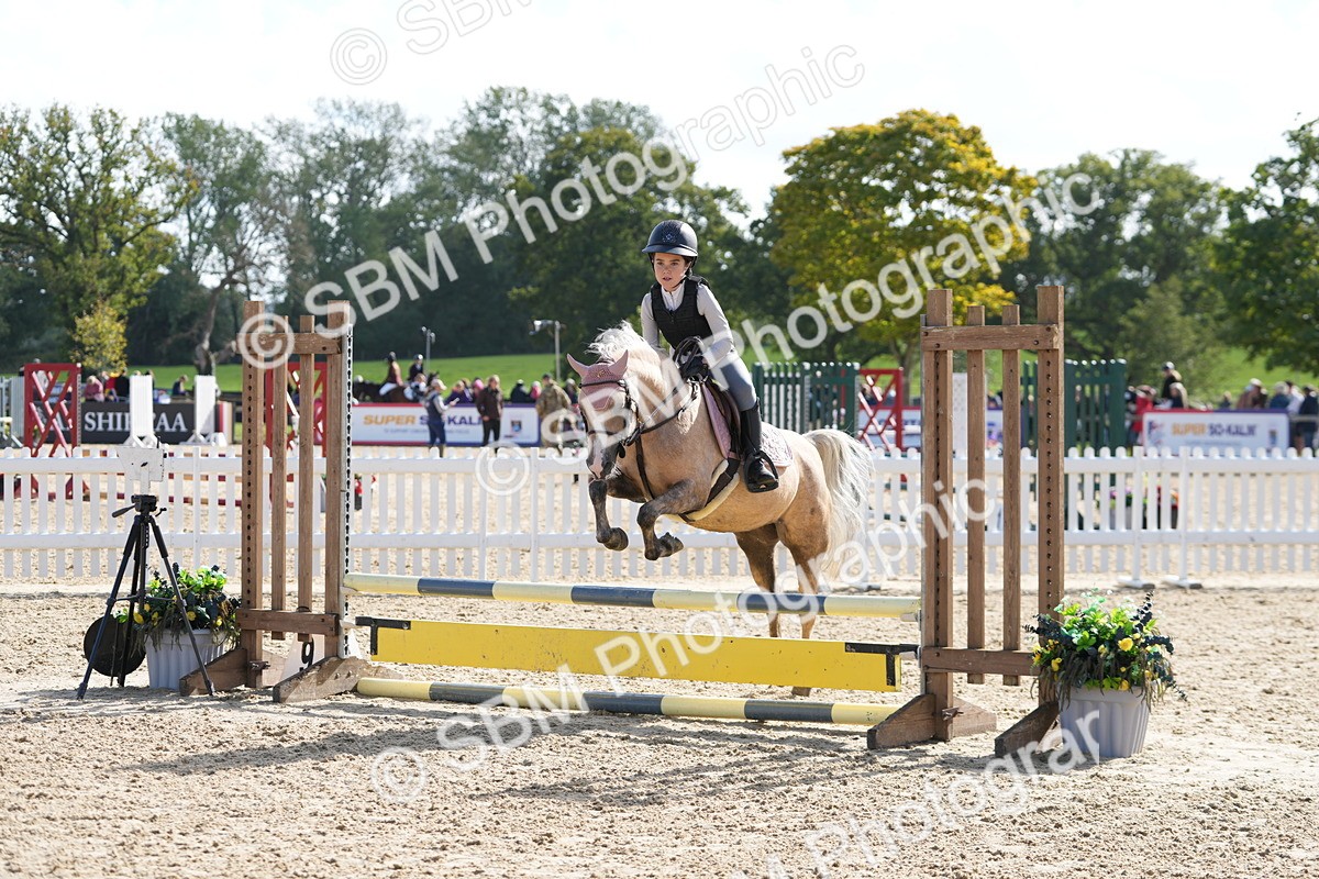 SBM_48400 - J7 - Junior Pony 60cm Championship