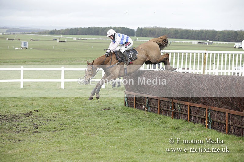 PtP 150320 0436 - New Forest Point-to-Point Larkhill 15/03/20