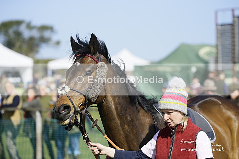PtP 190322 346 - Wilton Hunt PtP Milborne St Andrew 19/03/22