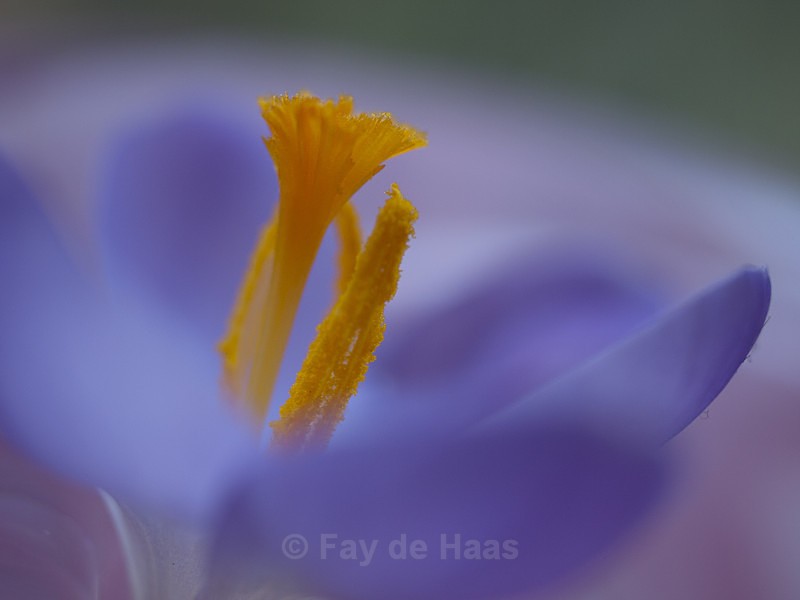  - Nature's Wonders