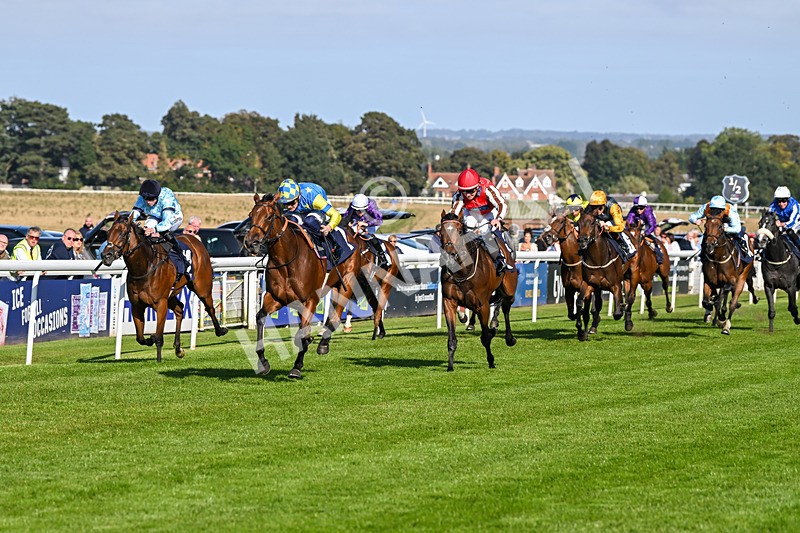 180924-Race 5-Blue Zodiac-4784 - Race 5