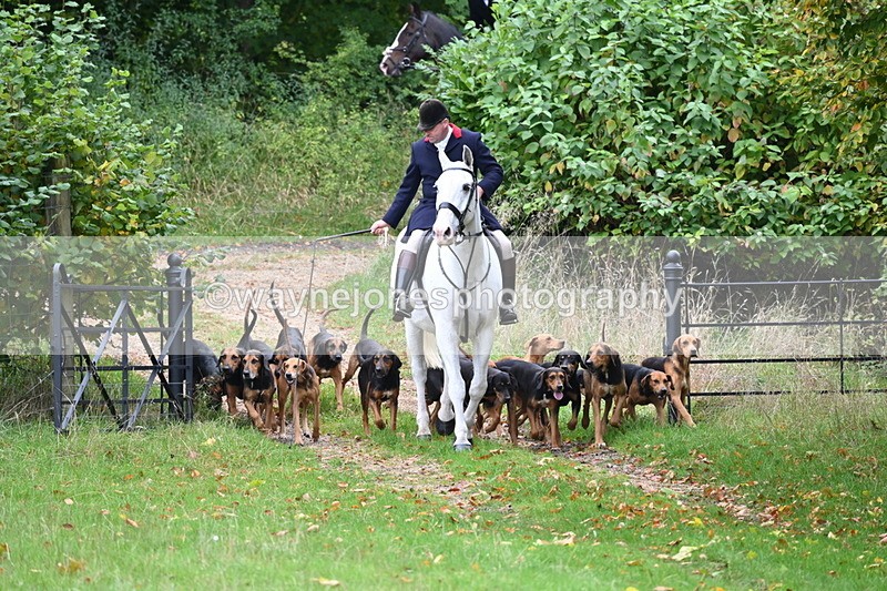 WJ6_0041 - Camera 2 Meet