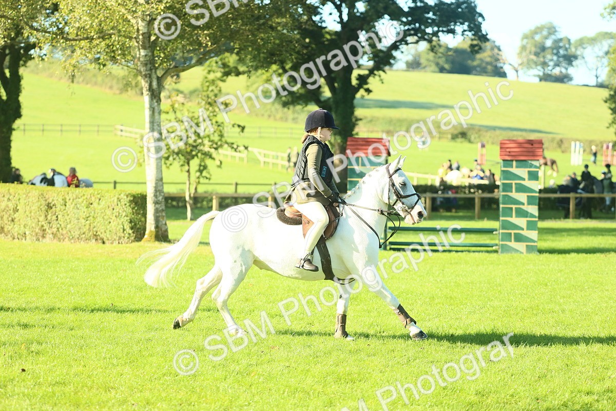 SBM_36280 - S29 - Novice & Newcomers Working Hunter Pony
