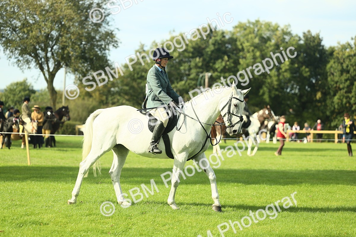 SBM_50657 - S33 - Working Hunter & Working Show Horse