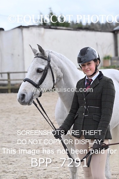 BPP_7291 - RING 1  (RIDDEN HORSES / IN HAND / VETERAN ETC)