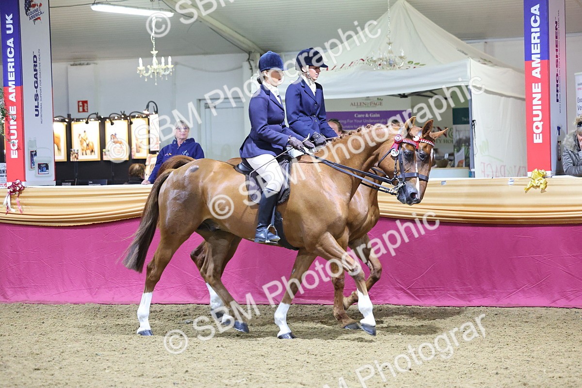 0B8A4330 - Class M Ridden Pairs Champ