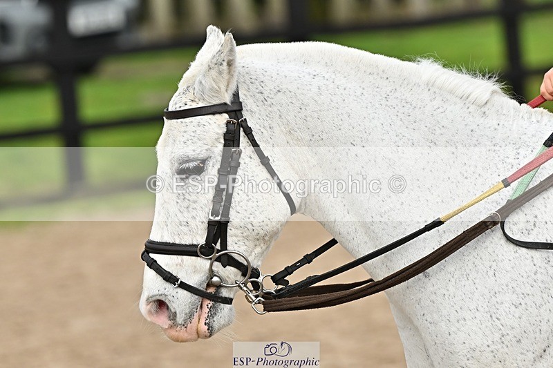 241110-113546-00472 - 50-55cm Arena Eventing