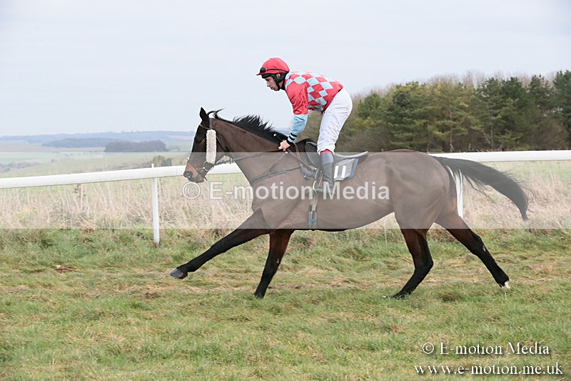 PtP 060119 235 - Larkhill Racing Club - Point-to-Point- 06/01/2019