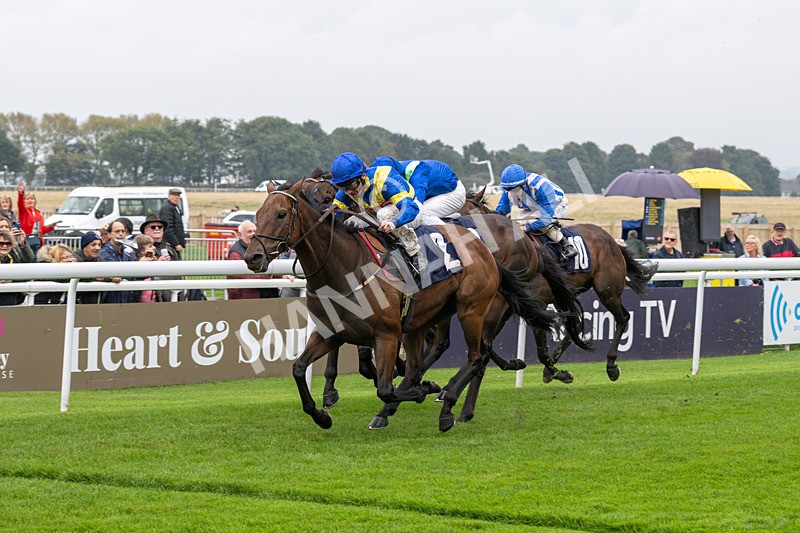 240924-Race 1-Dr Rio-5747 - Race 1