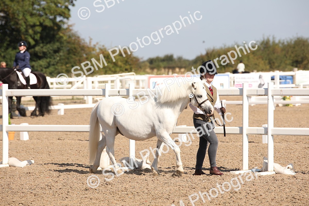 SBM_02656 - Class 16 IH M&M Wildcard