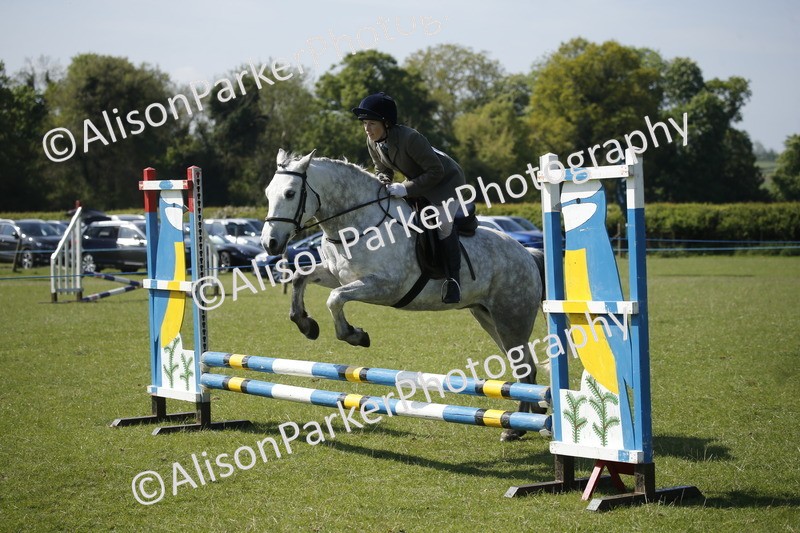 20250427-2074 - Class 13 - Novice Jumping 60cm