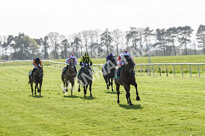 200424-Race 4-Shartash-6640 - Race 4