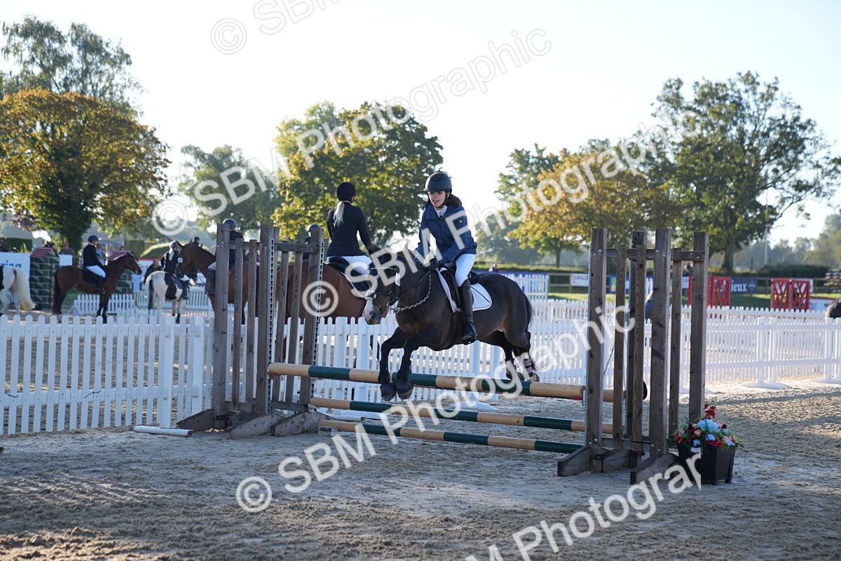 SBM_13989 - J59 - Clear Round - 65cm