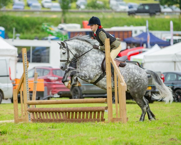 Dunblane show-273 - Dunblane and Doune Show Ring 1