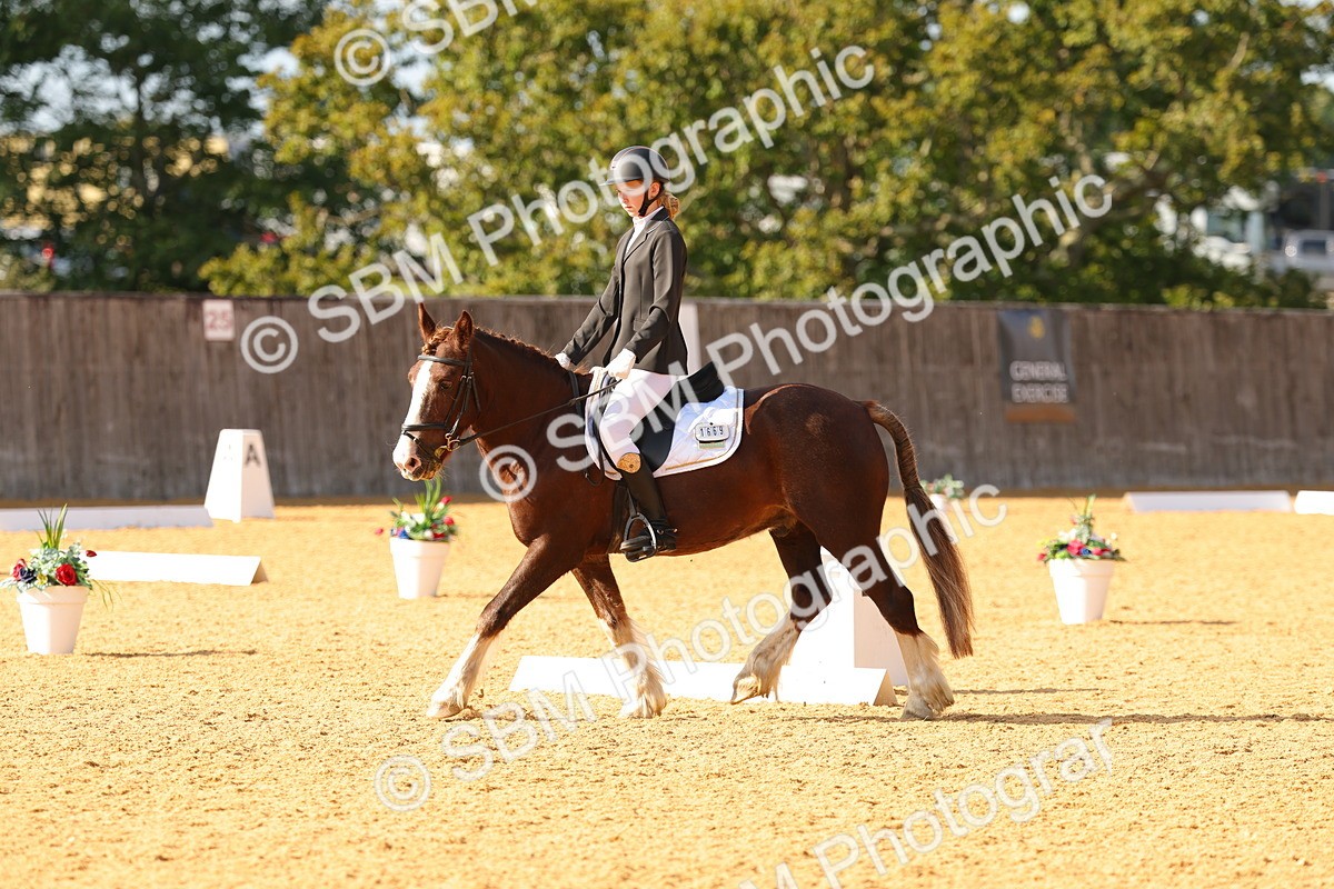 SBM_49624 - D22 - Junior Championship - Intro B