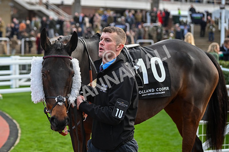 171124-Race 4-Paddock-Bangers And Cash-3445 - Race 4