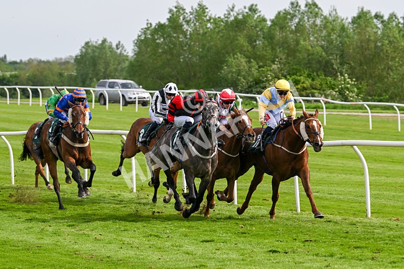 130524-Race 6-Stellarmasterpiece-0941 - Race 6