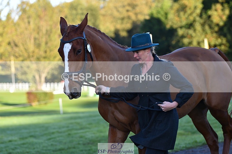 231022-085310-21425 - 648-FRIARSHILL.CHARLES-Caroline.Wilkinson-TrotUp+SJ