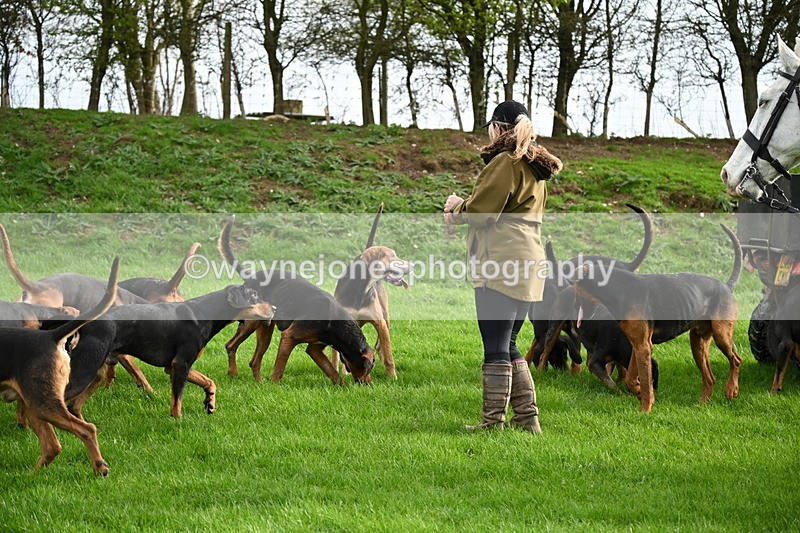 WJ6_9192 - Line Three