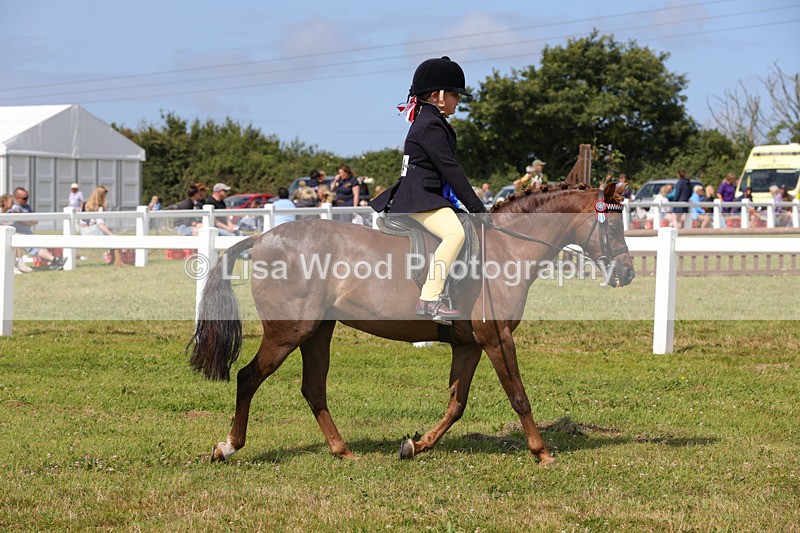 1X9A3800 - Class 30: First Ridden SP/SHP