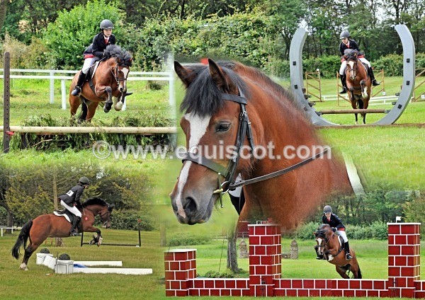 shaun montage - 251211SS