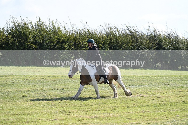 WJ7_5621 - Time 10:38 to 10:51