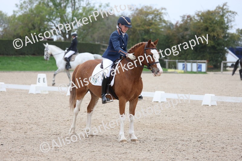 20251011-0419 - Class 4 - Novice 2