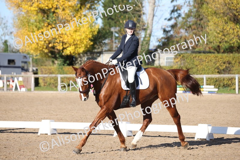 20251102-0523 - Class 3 - Novice 5