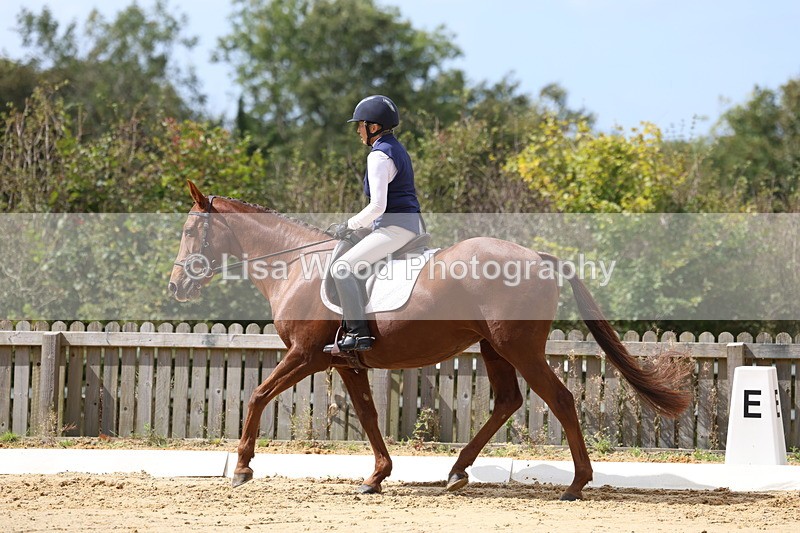 3E7A3974 - Class 9: Novice 6 Section B Championship