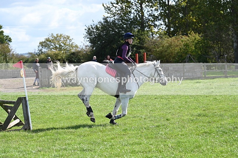 WJ7_1482 - Time 13:56 to 14:24