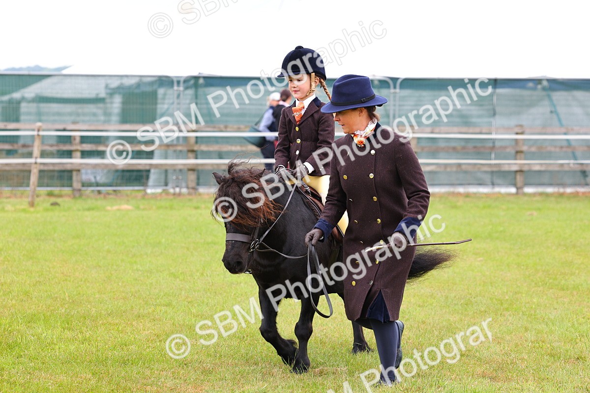 SBM_08148 - Class 42-43 - LIHS BSPS Heritage Working Sports Pony