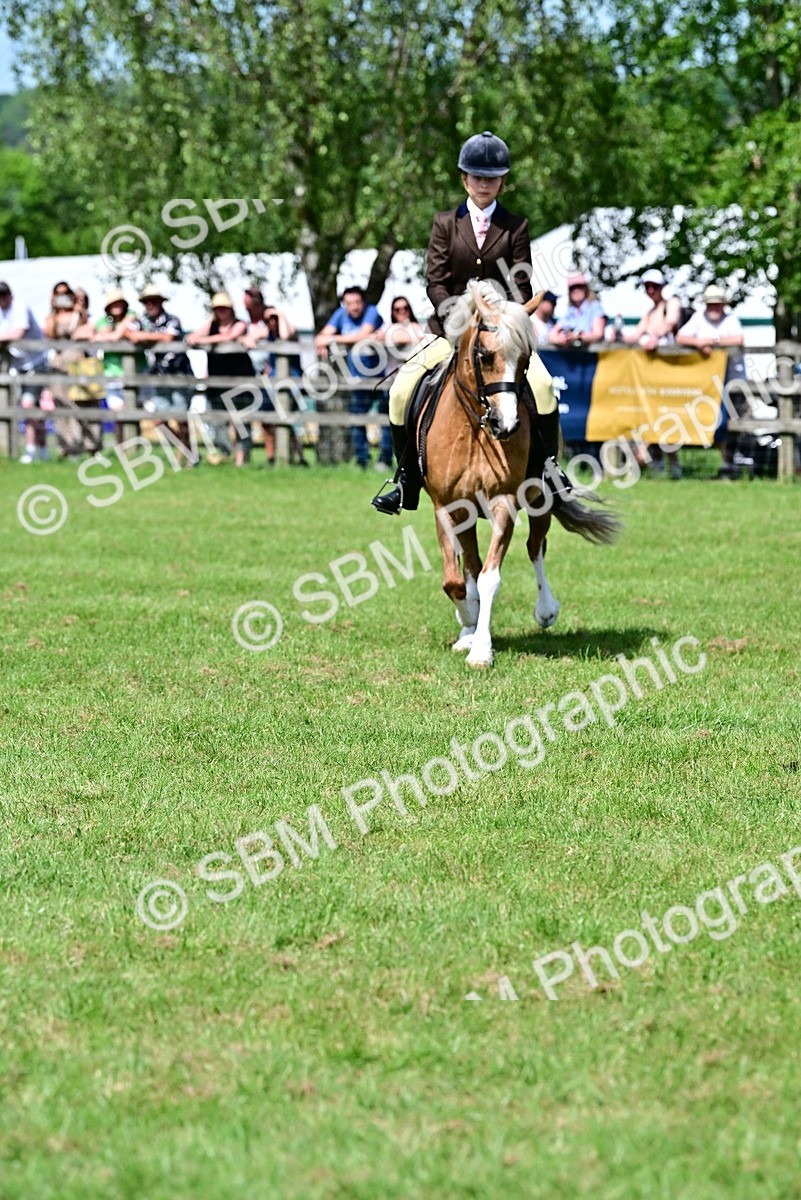 SBM_07953 - Class 61-62 - TSR  M&M Ridden Amateur of the Year