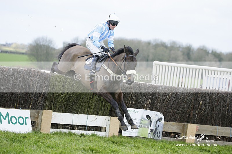 PtP 060322 188 - Blackmore & Sparkford Vale Hunt PtP 06/03/22