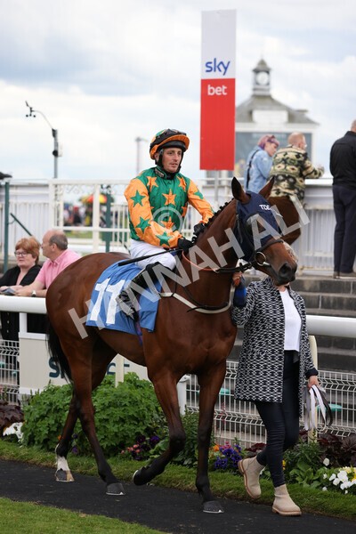 yr22052022r7-14 - Race 7: 6:40pm Sky Bet Sunday Series Fillies' and Mares Stakes