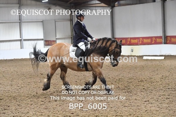 BPP_6005 - ELEM TEST 4