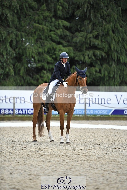 230525-125109-02044 - 111-CREEVAGHSTABLES_IFICUDIWUD-Tim_Cheffings-WEDTrotUp+DR