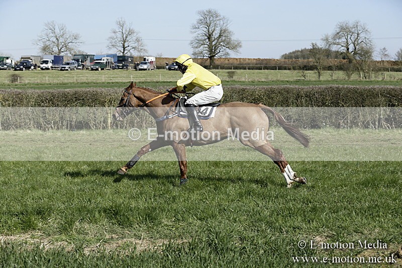 PtP 250317 131 - V.W.H. Hunt Point-to-Point Siddington 25/03/17