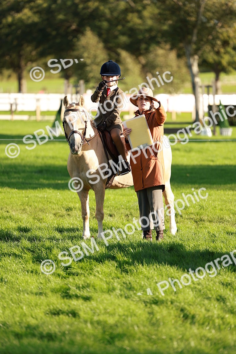 SBM_28753 - S7 - Novice & Newcomer Ridden Pony