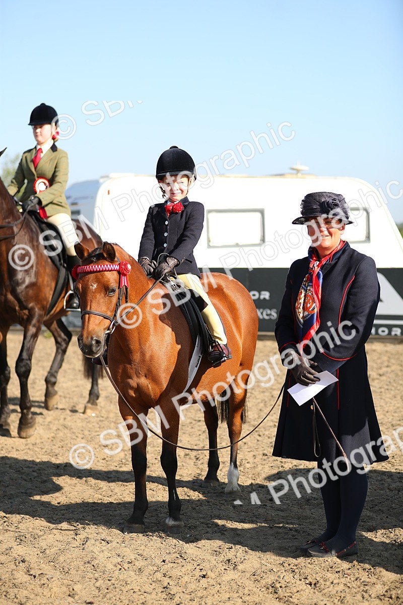 SBM_00458 - Class 41 Best Turned Out Ridden