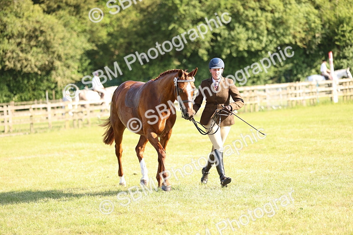 SBM_19730 - Class 87-88 - RIHS BSHA Riding Horses
