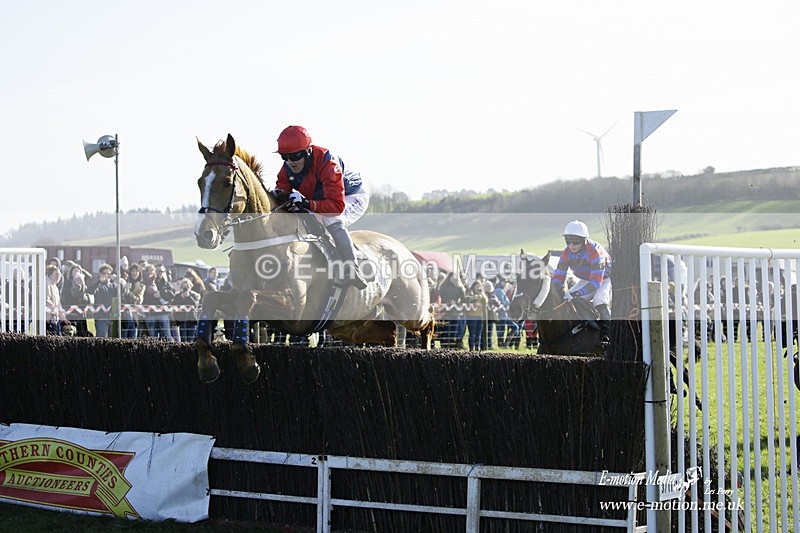 PtP 300122 94 - South Dorset Hunt - Point-to-Point Races 30/01/2022